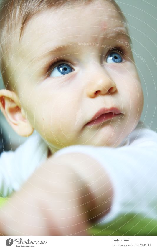 when I make my eyes big... Child Baby Boy (child) Skin Head Hair and hairstyles Face Eyes Ear Nose Mouth Lips Hand 1 Human being 0 - 12 months Happy Contentment