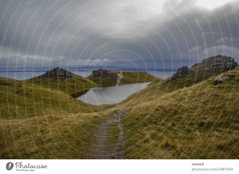 Old Man of Storr on the Isle of Skye in Scotland Environment Nature Landscape Clouds Storm clouds Bad weather Grass Foliage plant Agricultural crop Meadow Green