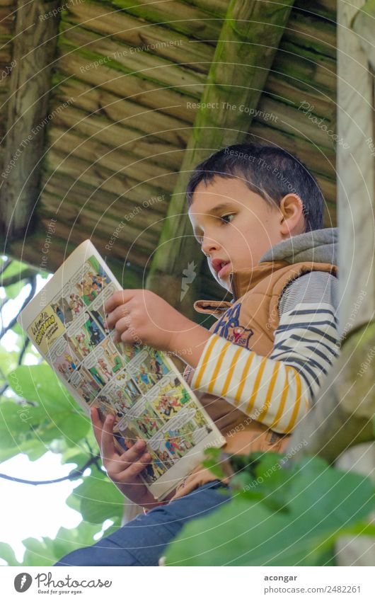 Boy reading a comic in the wooden house of the tree. Reading House (Residential Structure) Human being Masculine Child Boy (child) Infancy 1 3 - 8 years Book