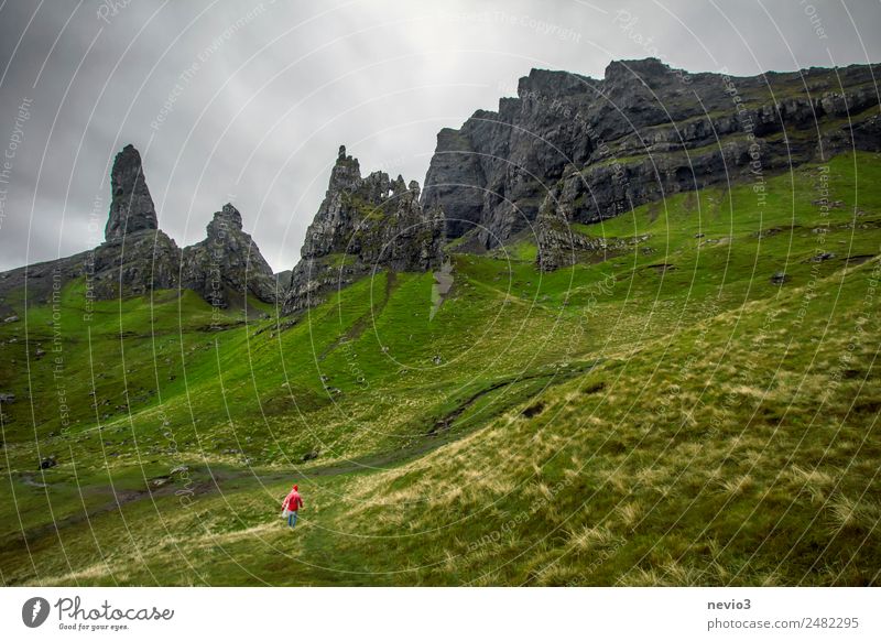 The Wanderer Landscape Grass Meadow Hill Rock Mountain Peak Exceptional Threat Famousness Authentic Simple Above Beautiful Green Isle of Skye Scotland