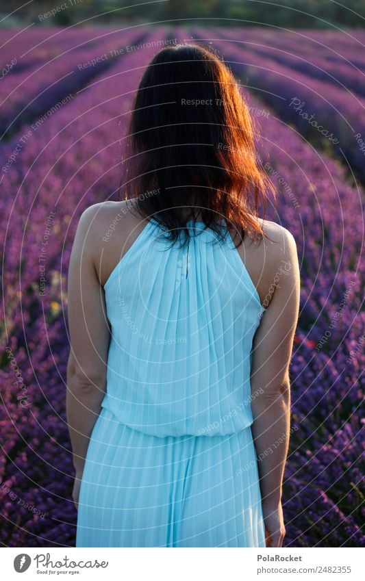 #A# Morning lavender Environment Nature Landscape Esthetic Lavender Lavender field Lavande harvest Woman Dress Fashion Model Idyll Calm Dreamily France Provence