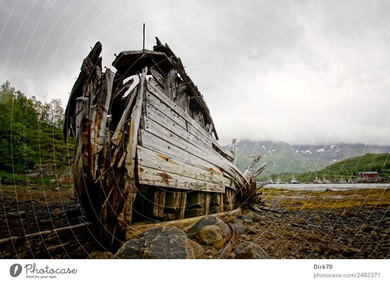 Shipwreck on the Lofoten Islands Fishery Nature Algae Mountain Coast Bay Fjord Ocean Arctic Ocean Lofotes Low tide Norway Fishing port ship graveyard Navigation