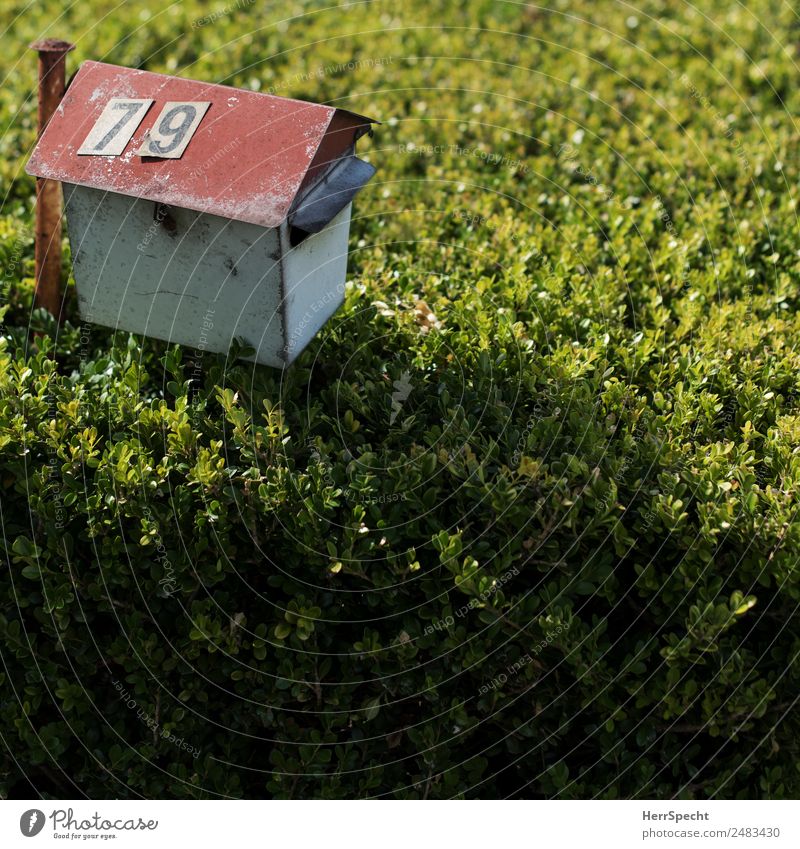 Letter box Living or residing Flat (apartment) Plant Bushes Foliage plant Garden Detached house Mailbox Digits and numbers Old Authentic Simple Trashy Gloomy