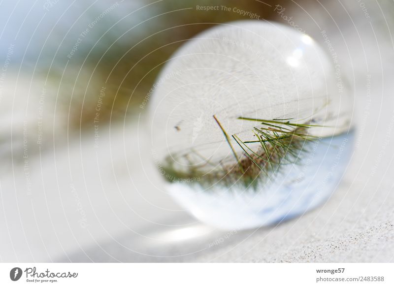 Head Cinema II Vacation & Travel Summer Summer vacation Beach Nature Sand Air Sky Beautiful weather Plant Grass Coast Maritime Blue Gray Green Crystal ball