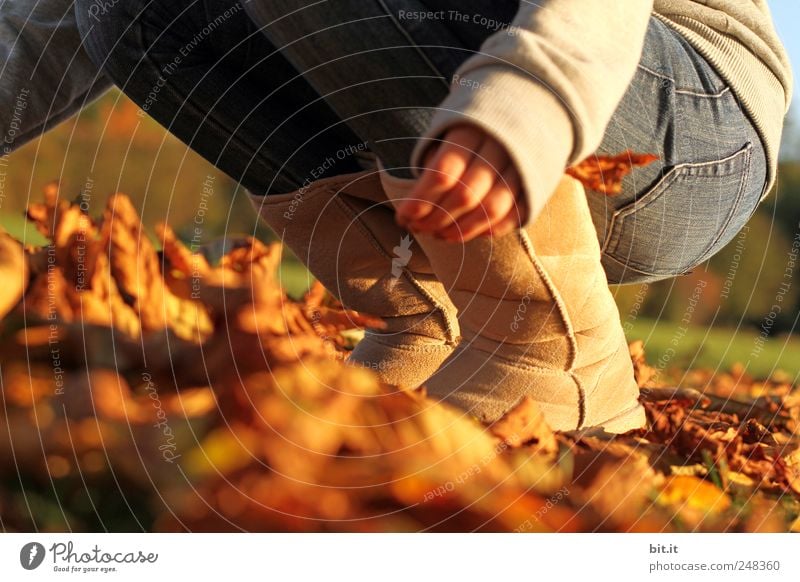 pack the autumn Legs feet 1 Human being Environment Nature Plant Autumn Climate Beautiful weather Meadow Jeans Boots Crouch Kneel Playing Brown Joy