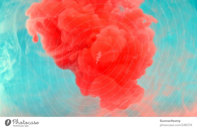 red cloud Art Esthetic Exceptional Fluid Wild Red Contentment Bizarre Idea Colour photo Studio shot Underwater photo Experimental Abstract Artificial light