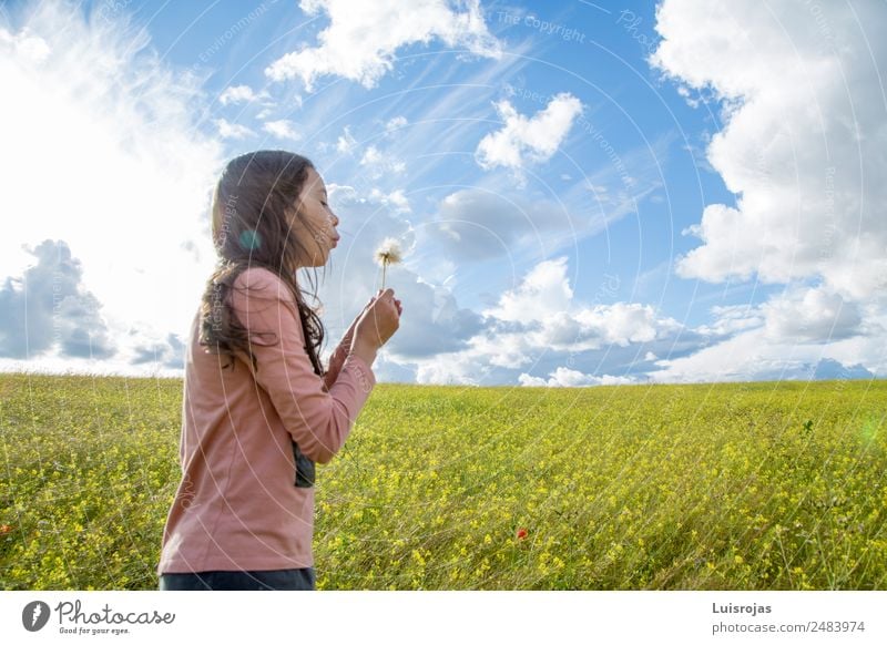 girl walking in a field with yellow flowers sunny day Joy Healthy Fragrance Vacation & Travel Summer Feminine Girl 1 Human being 3 - 8 years Child Infancy