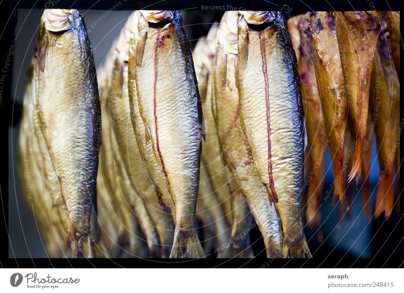 Fish Kipper Nutrition Food Smoked suspended Frame Relaxation Fishery Crowd of people hung Markets Market stall preserve Tin of food Canned Delicacy