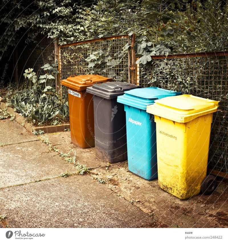 1 Mexican, 1 African, 1 Inuit and 1 Chinese ... Environment Bushes Paper Concrete Blue Brown Yellow Black Divide Trash Trash container Fence Recycling Ground