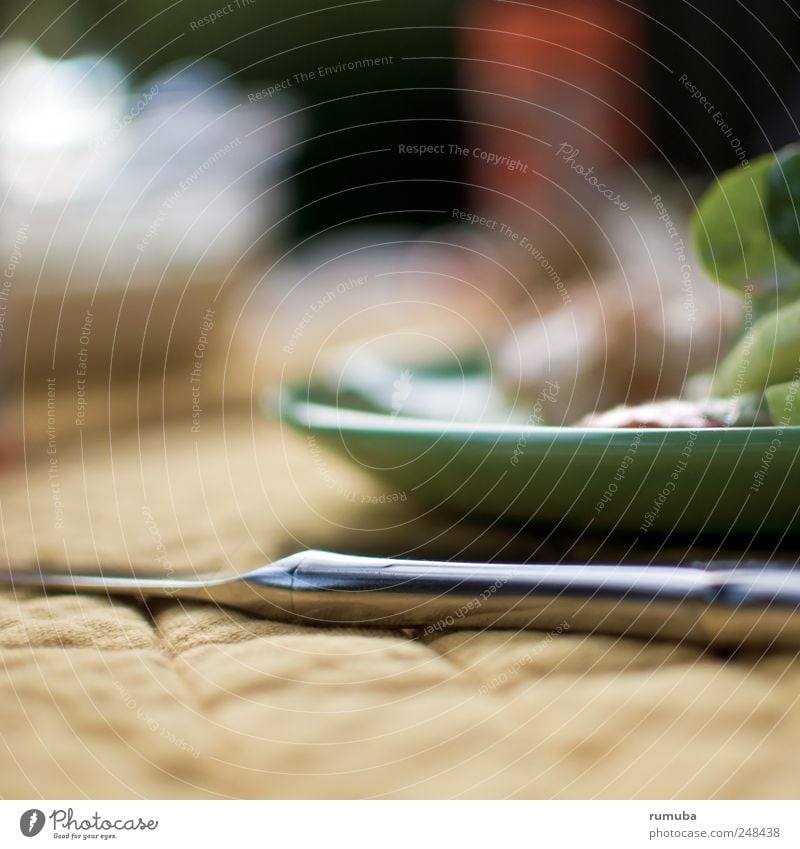 Sharp as a knife Food Nutrition Lunch Dinner Plate Knives To enjoy Green Silver Appetite Relaxation Sharp thing Colour photo Subdued colour Close-up Deserted