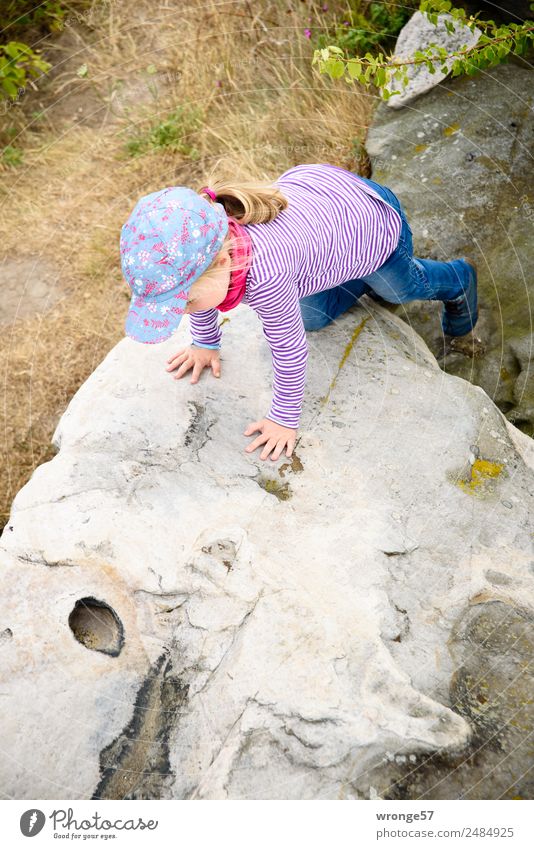 climbing tour Trip Adventure Summer Mountain Hiking Human being Feminine Child Toddler Girl 1 3 - 8 years Infancy Hill Rock Teufelsmauer Multicoloured Movement