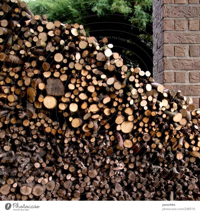 Tidy wood Stone Wood Many Sustainability Firewood Heat Stack Supply Branch Hut Accumulate Gardening Fuel Lumberyard Fresh Old Storage shed Stack of wood