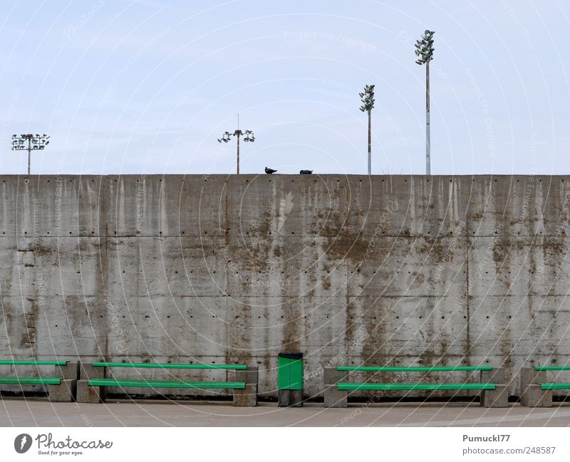 Two alone Sky Montreal Deserted Wall (barrier) Wall (building) Bench Trash container Lamp post Pigeon 2 Animal Concrete Metal Blue Gray Green Loneliness Boredom