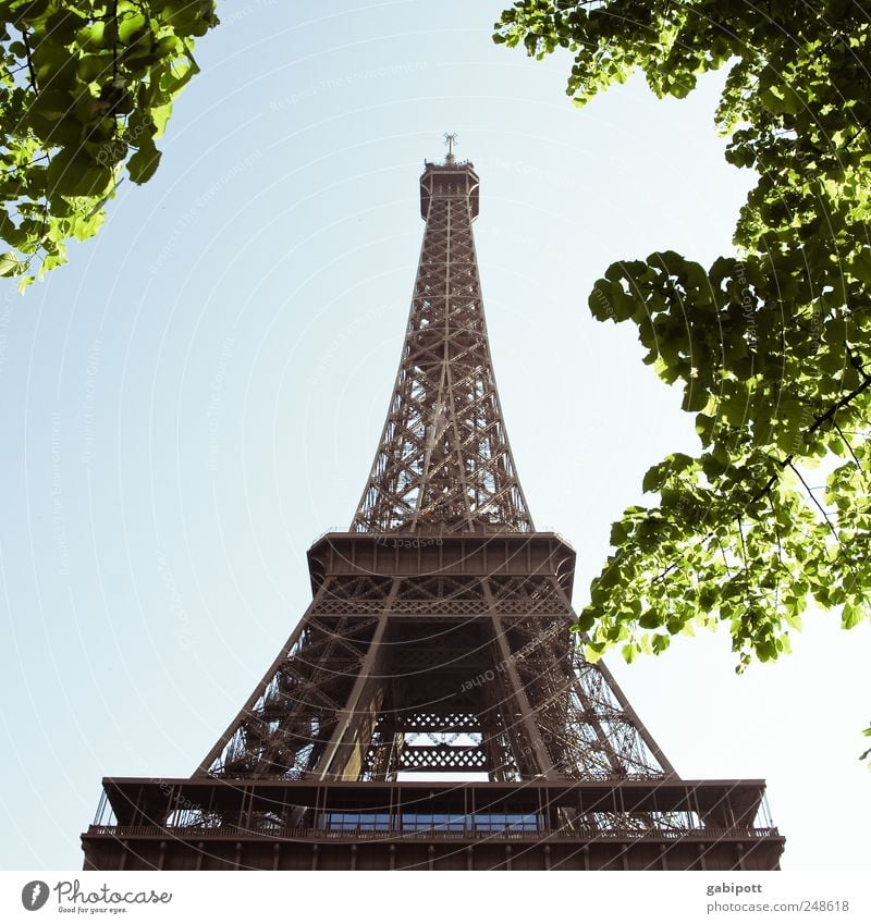 aspiring Nature Sky Cloudless sky Summer Beautiful weather Tree Park Paris France Downtown Tower Manmade structures Building Tourist Attraction Landmark