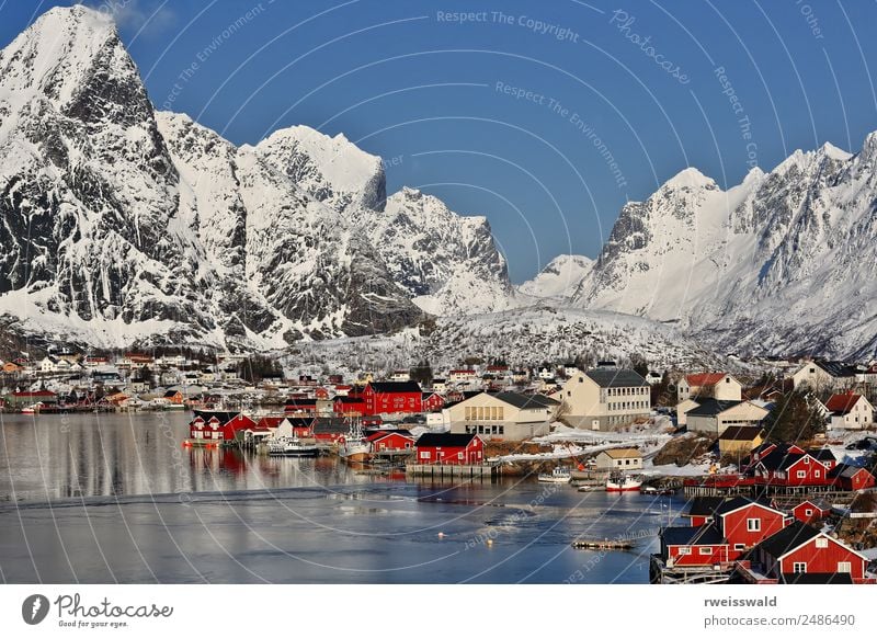 Reinevagen gulf-mts.over Reinefjorden. Reine-Lofoten-Norway-0289 Fish Seafood Calm Fishing (Angle) Vacation & Travel Tourism Sun Snow Winter vacation Mountain