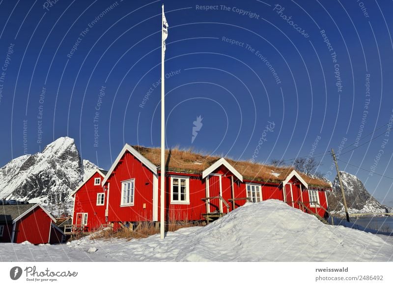 Red cottages-tourist rorbuer. Reine village-Lofoten-Norway-0308 Fish Seafood Calm Fishing (Angle) Vacation & Travel Tourism Sun Snow Winter vacation Mountain