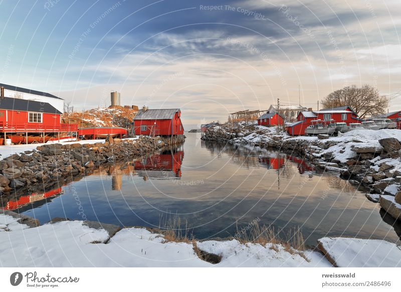 Inner-old harbor of A i Lofoten village. Sorvagen-Norway-0319 Fish Seafood Calm Fishing (Angle) Vacation & Travel Tourism Sun Island Snow Winter vacation