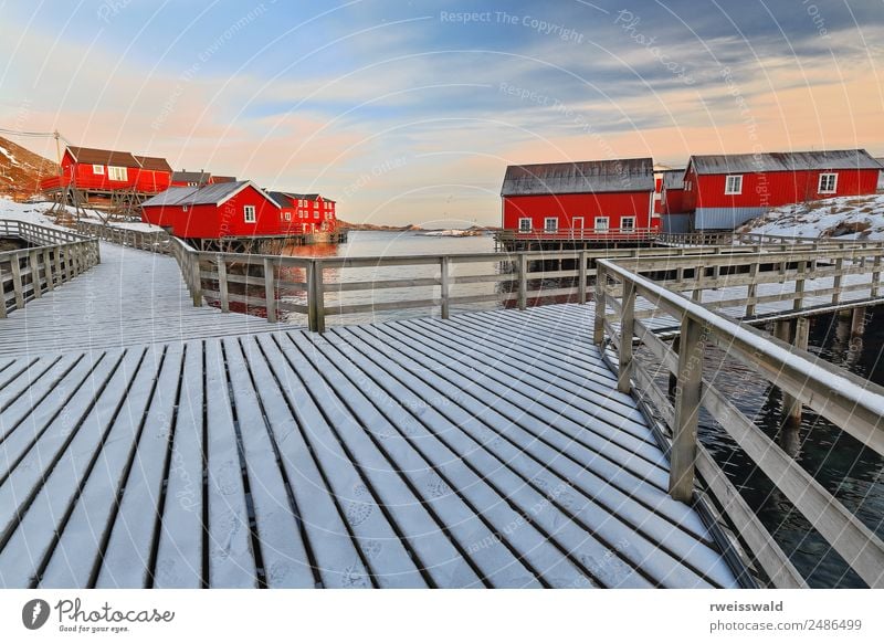 Red cottages-rorbuer. Wooden gangplanks. A i Lofoten-Norway-0328 Fish Seafood Relaxation Calm Fishing (Angle) Vacation & Travel Tourism Sightseeing Sun Island