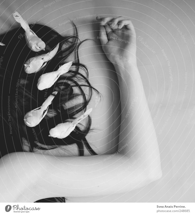 the freedom we reach for. Arm Hand Fingers 1 Human being Long-haired Curl Lie Lovesickness Longing Hair accessories Bird Black & white photo Studio shot