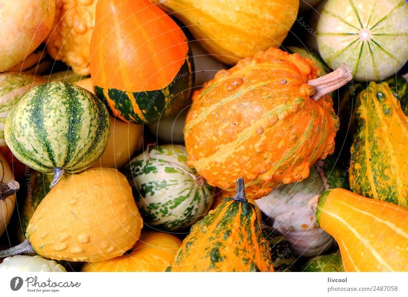 Pumpkins Food Vegetable Fruit Lunch Dinner Vegetarian diet Shopping Restaurant Yellow Green japanese Asia asian Japan healthy Tomato Sesame Onion Vegan diet