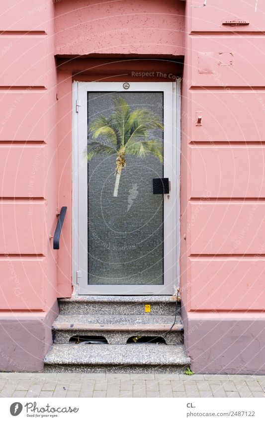 wanderlust Palm tree House (Residential Structure) Wall (barrier) Wall (building) Stairs Door Decoration Label Exceptional Exotic Longing Wanderlust Inspiration