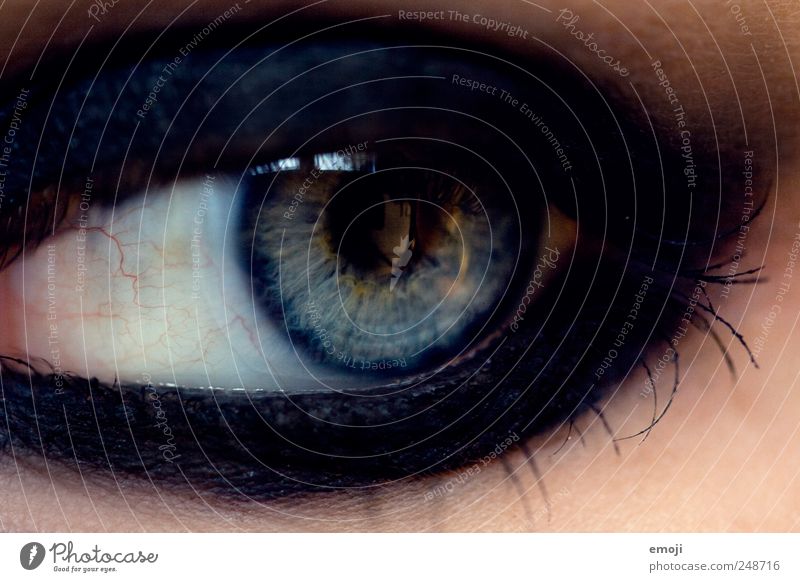 black as night Make-up Eyes Blue Black Eyeliner Eye shadow Dark Iris Pupil Colour photo Close-up Macro (Extreme close-up)