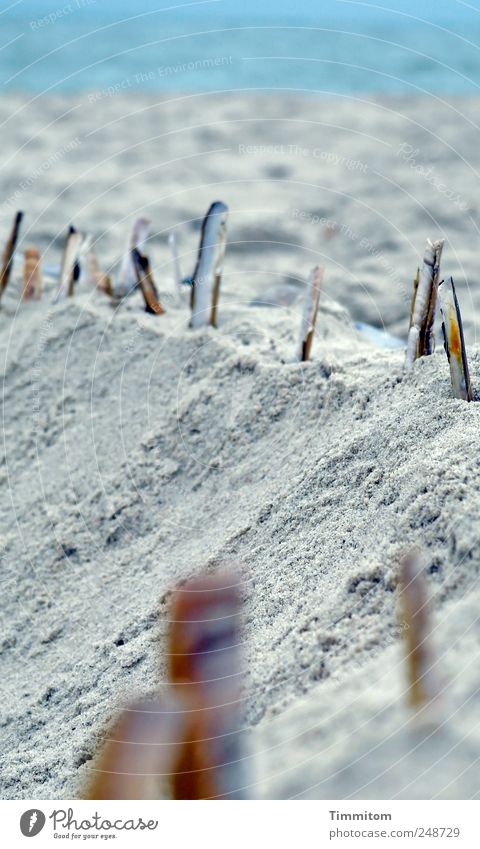 The Mupfelwall Environment Nature Summer Beach North Sea Denmark Sand Esthetic Strong Blue Gray Emotions Joie de vivre (Vitality) Safety Joy Vacation & Travel