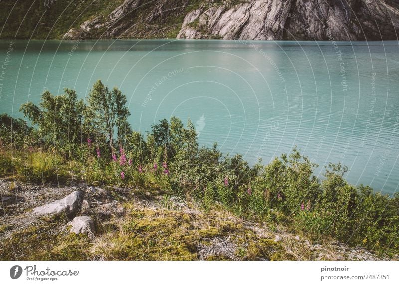 Glacial lake Nigardsbreen Nature Plant Mountain Glacier Coast Fjord Norway Europe Glacier National park Jostedalsbreen Vacation in Norway Sogn og Fjordane