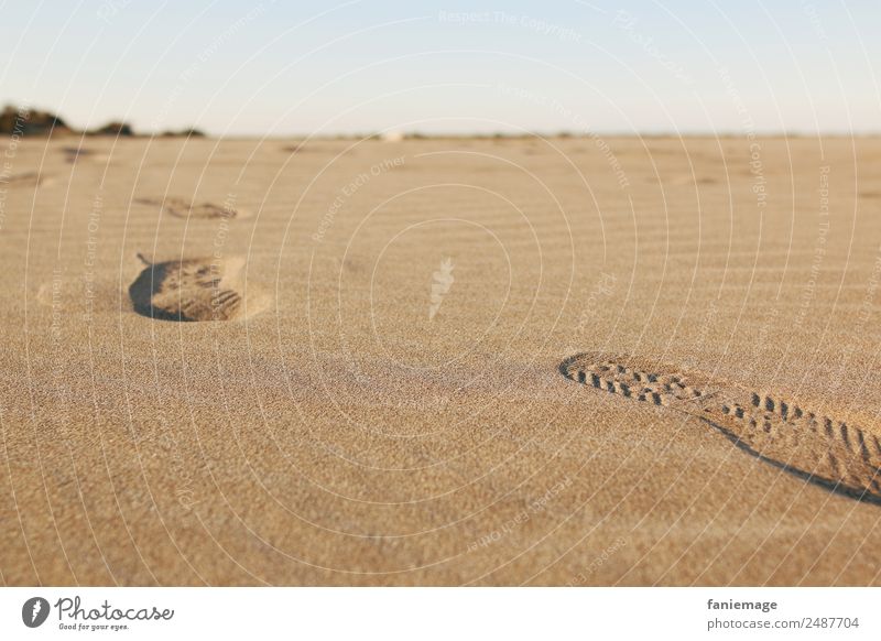 traces Environment Nature Sand Beautiful weather Coast Beach Going Tracks Footprint Walking Pursue Bequest Shoe sole Desert Grain of sand Lanes & trails