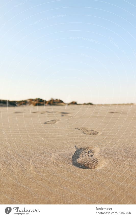 traces II Environment Nature Sand Beautiful weather Coast Discover Going Walking Tracks To go for a walk Walk on the beach Lanes & trails Footpath Sky