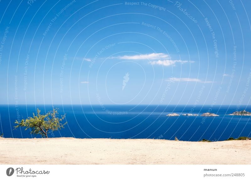 far vision Nature Landscape Earth Sand Water Sky Tree Bushes Rock Coast Reef Ocean Sardinia Authentic Natural Blue Wanderlust Vacation & Travel Colour photo