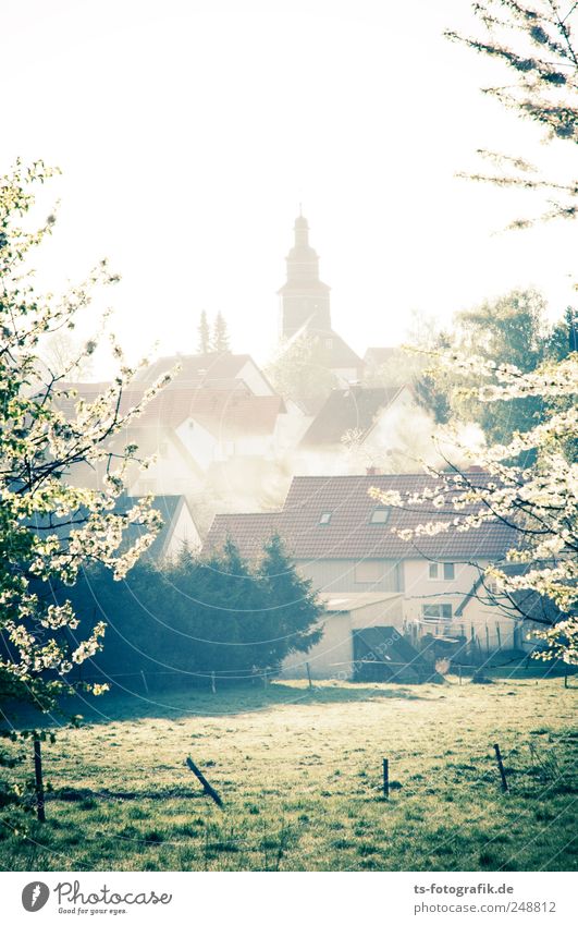 The church left in the village Environment Nature Landscape Spring Beautiful weather Plant Tree Blossom Meadow Village Old town Deserted