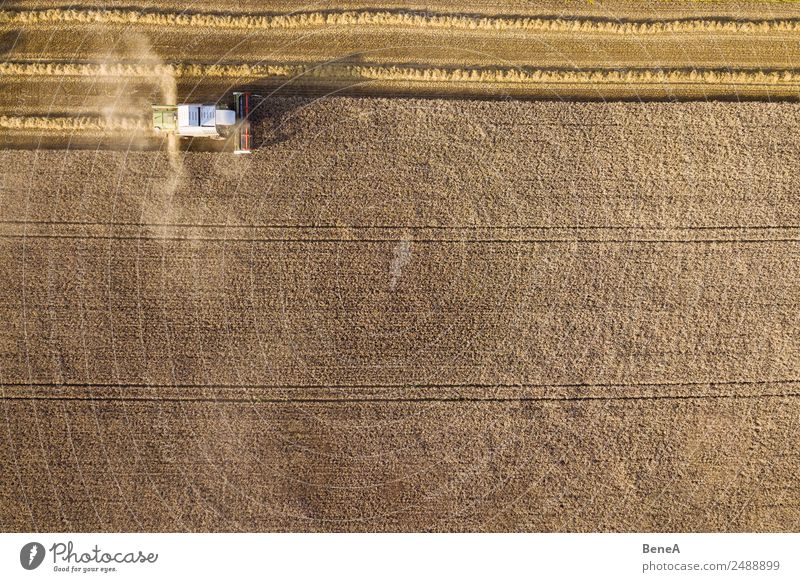 Combine harvester harvests a grain field in the evening light from the air Work and employment Economy Agriculture Forestry Industry Harvest Grain harvest