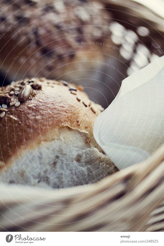 bread Bread Roll Nutrition Breakfast Buffet Brunch Brown Whole grain bread Bread basket Colour photo Deserted Day Shallow depth of field