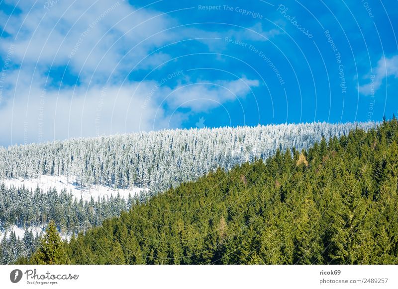 Winter in the Giant Mountains near Pec pod Snezkou, Czech Republic Vacation & Travel Tourism Winter vacation Sports Winter sports Landscape Clouds Climate