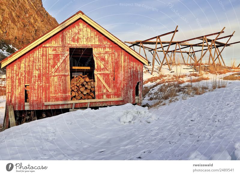 Old rorbu ruined and chipped-log storage. A i Lofoten-Norway-332 Fish Seafood Fishing (Angle) Vacation & Travel Tourism Sun Island Winter Snow Winter vacation