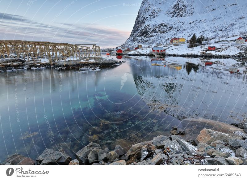 Reinevagen-gulf + Reinehalsen-isthmus + Reinebringen-mount. 0341 Fish Seafood Relaxation Calm Fishing (Angle) Vacation & Travel Tourism Winter Snow