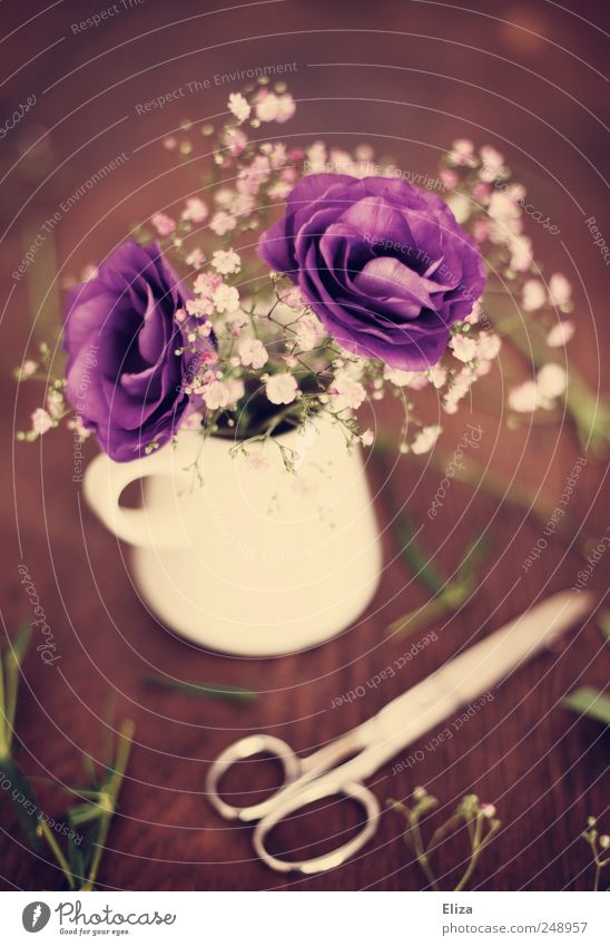 Purple. Decoration Flower Blossom Beautiful Table Wood Floristry Scissors Vase Cut Baby's-breath Vintage Moody Embellish Kitsch Bouquet Wooden table