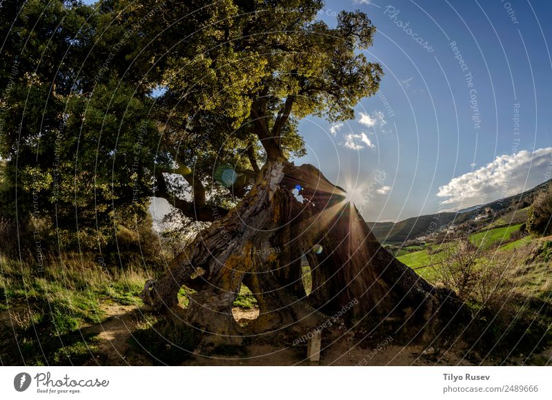 Encina de Eraul Mountain Nature Landscape Sky Meadow Village Vacation & Travel Rural Vantage point Colour photo