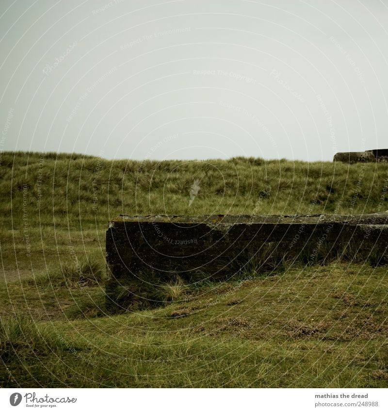 DENMARK - XXXVIII Environment Nature Landscape Sky Clouds Horizon Bad weather Grass Moss Deserted Ruin Wall (barrier) Wall (building) Facade Old Dark