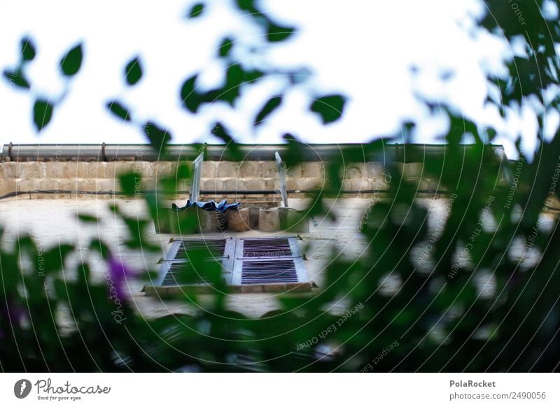 #A# Provence views Art Work of art Esthetic Facade House (Residential Structure) Window Airplane window Shutter View from a window Window frame Green France