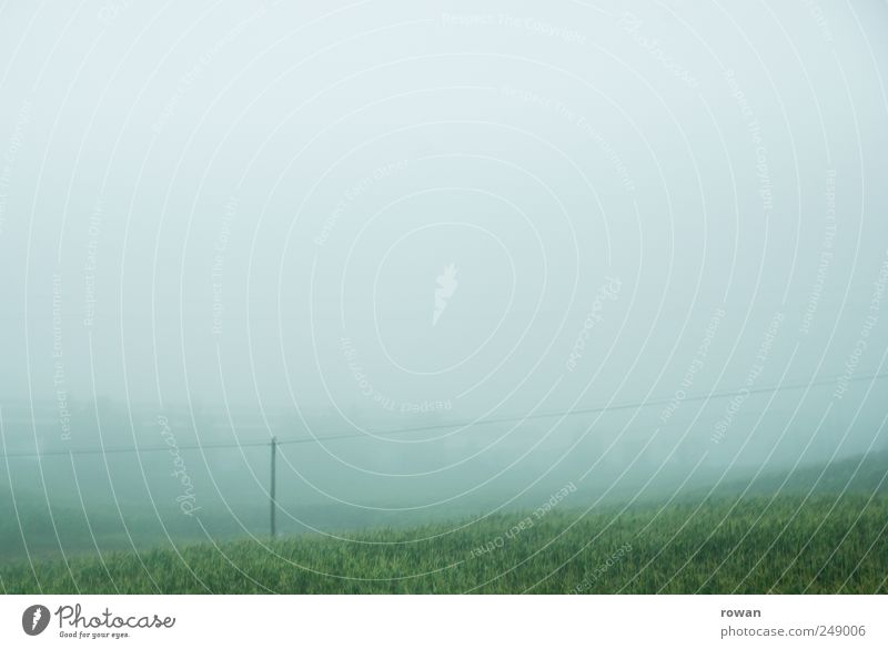 Foggy Nature Landscape Plant Water Sky Clouds Autumn Bad weather Meadow Hill Mountain Wet Gloomy Green Sadness Loneliness Environment Grass Electricity pylon