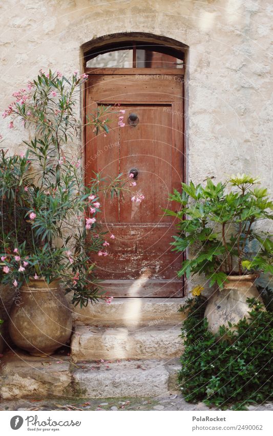 #A# Back door Environment Beautiful weather Garden Esthetic Door Wooden door Door lock Doorframe Knocker Plant Mediterranean France Provence Colour photo