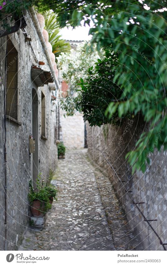 #A# Lane green Art Work of art Esthetic Alley Green Mediterranean Dreamily Hide France Provence Vacation photo Narrow Colour photo Multicoloured Exterior shot