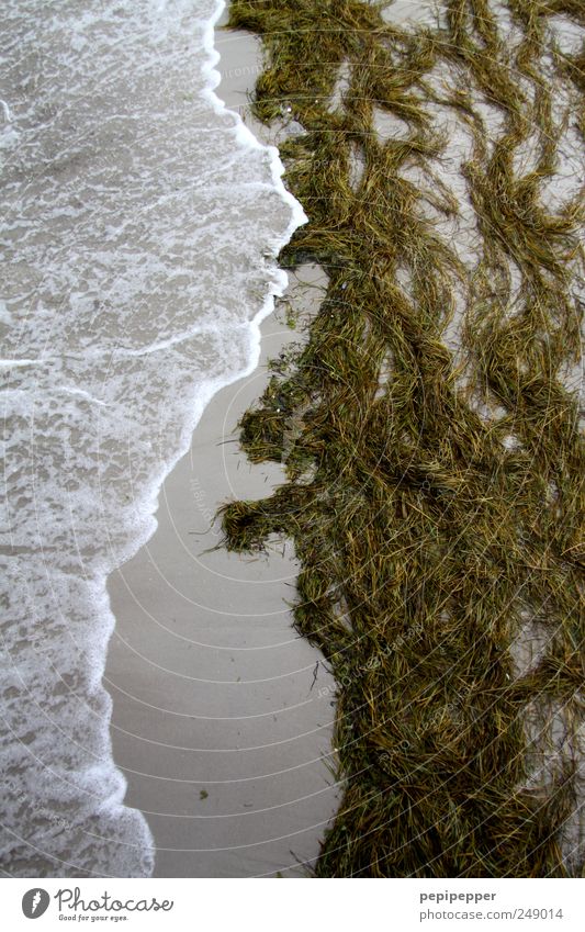 nature line Vacation & Travel Summer Beach Ocean Waves Environment Nature Landscape Elements Sand Water Wind Gale Coast North Sea Baltic Sea Movement