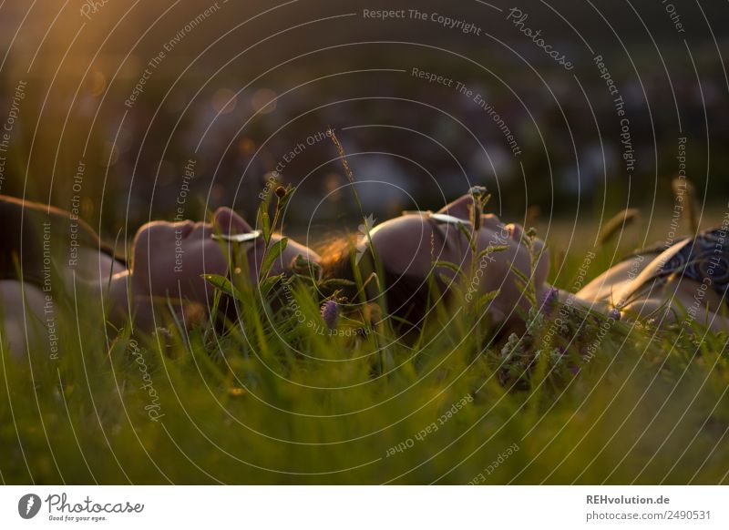 Two sisters lie on a meadow Well-being Contentment Relaxation Calm Leisure and hobbies Human being Feminine Young woman Youth (Young adults) Woman Adults