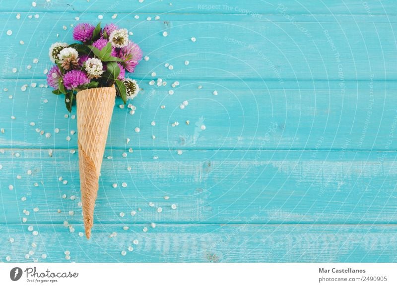 Bouquet of clover flowers in cornet on blue wooden background Ice cream Beautiful Summer Garden Art Nature Plant Spring Flower Grass Leaf Blossom Decoration