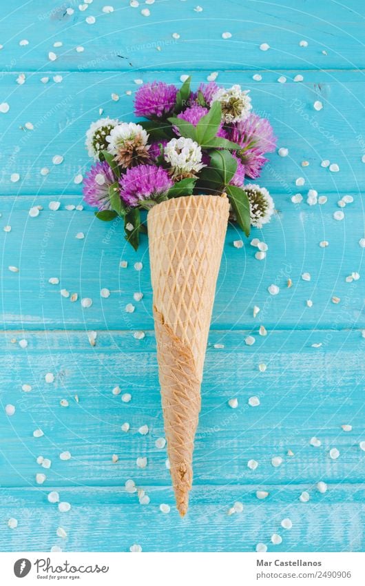 Bouquet of clover flowers in cornet on blue wooden background Ice cream Beautiful Summer Garden Art Plant Spring Flower Grass Leaf Blossom Meadow Field Write