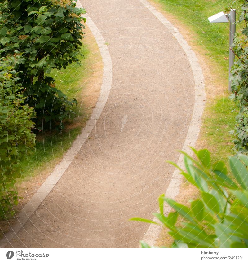 The way is the goal Environment Nature Landscape Plant Earth Summer Tree Bushes Garden Park Outskirts Transport Traffic infrastructure Pedestrian Lanes & trails