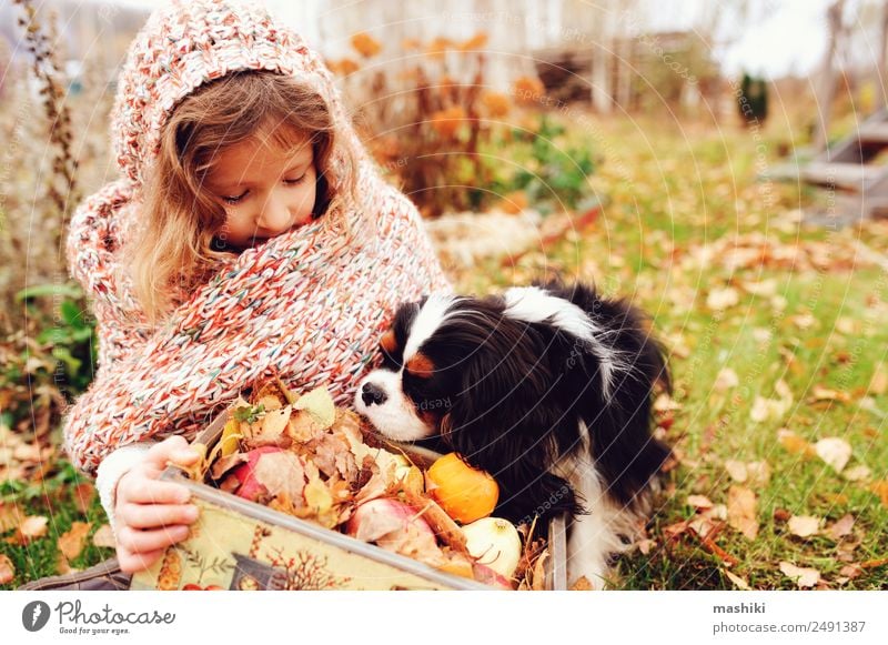 happy kid girl with basket of apples playing with her dog Apple Lifestyle Joy Playing Child Family & Relations Friendship Infancy Nature Autumn Scarf Pet Dog